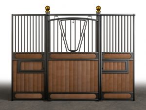 Karsinan 3D-mallinnus